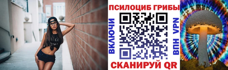 Псилоцибиновые грибы Cubensis  Купить где  Голицыно 